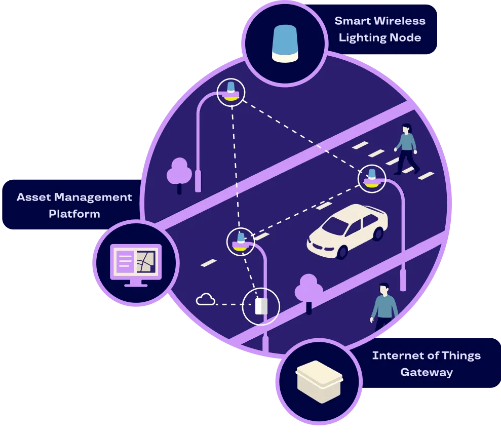 Visual representation of the Network Lighting Management System